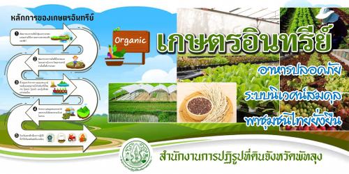 เอกสารเผยแพร่ เรื่องเกษตรอินทรีย์