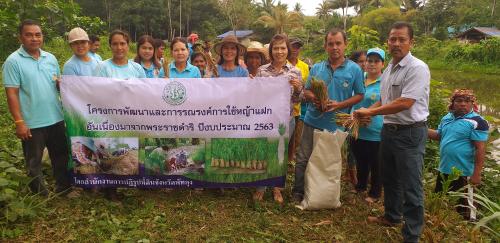 สำนักงานการปฏิรูปทีดิน โดยกล่มยุทศาสตร์และการปฏิรูปที่ดิน ร่วมกับ กำนัน ผู้ใหญ่บ้าน ในท้องที่ ได้จัดทำโครงการรณรงค์การใช้หญ้าแฝกในเขตปฏิรูปที่ดิน ประจำปีงบประมาณ 2563 