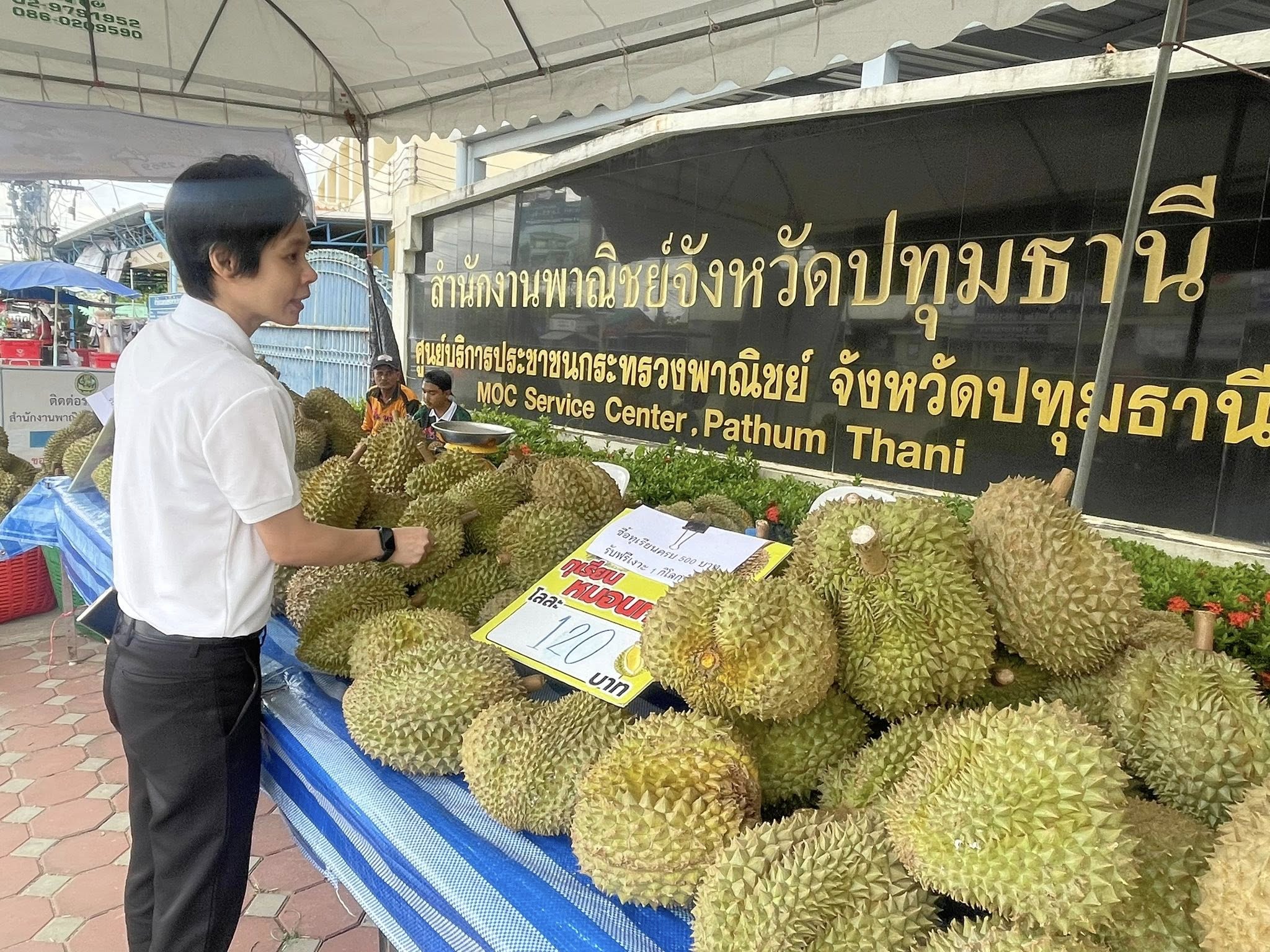  นางสาวฐิติมา วัฒนจัง ปฏิรูปที่ดินจังหวัดปทุมธานี และเจ้าหน้าที่ ส.ป.ก.ปทุมธานี ร่วมอุดหนุน ผลผลิตจากเกษตรกรไทย       โดยมี นายนิมิตร ฆังคะจิตร พาณิชย์จังหวัดปทุมธานี พาชม ชิม ช้อป กิจกรรมรณรงค์บริโภคผลไม้ภาคตะวันออก ภายใต้ชื่องาน “Thai Fruits Festival 2026”      มีผลไม้ให้เลือกให้เลือก มากกว่า 9 ชนิด อาทิเช่น ทุเรียน ลองกอง เงาะ สละสุมาลี มะไฟ มังคุด ฝรั่ง แก้วมังกร และอีกมากมาย ตลอดทั้งเดือนมิถุนายน 2569 ที่หน้าสำนักงานพาณิชย์จังหวัดปทุมธานี โดยสามารถใช้สิทธิ์ผ่านโครงการ ไทยช่วยไทยพลัส ได้ตลอดโครงการ