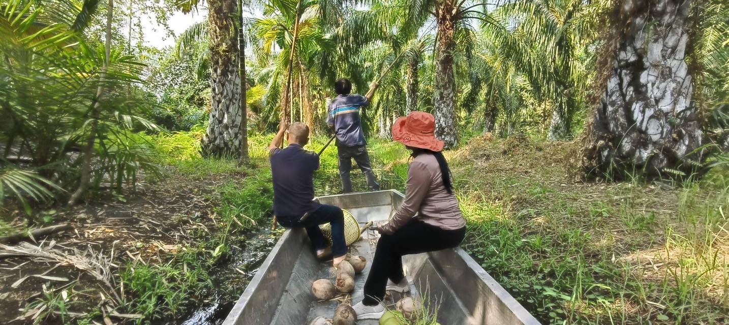 title - นายจักรพงศ์ วรเสฏฐ์ฐากูร นายช่างสำรวจอาวุโส และผู้ช่วยตำแหน่งนิติกร ดำเนินการตรวจสอบที่ดินแปลงที่ดินเกี่ยวกับการทำประโยชน์ พร้อมสอบแปลงที่ดินข้างเคียง กรณีการถือครองและทำประโยชน์ในที่ดินของเกษตรกรอื่นโดยไม่ได้รับอนุญาต ข้อ 62 