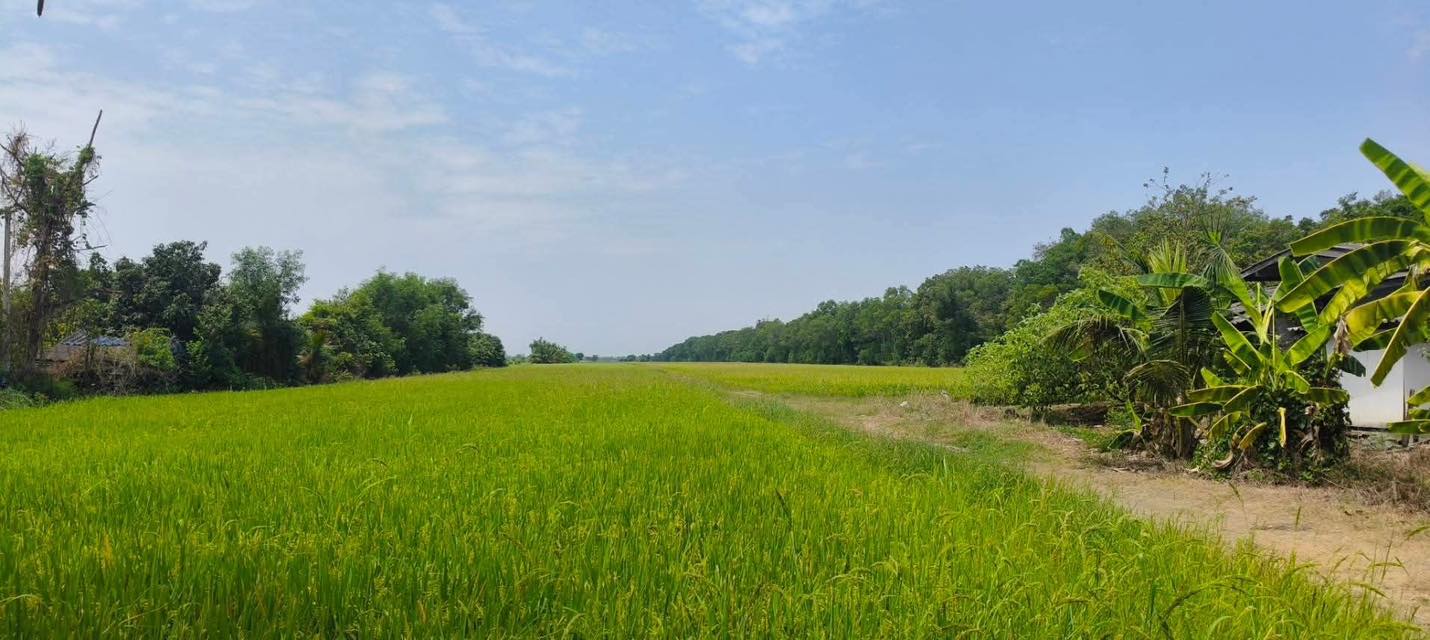 title - นางสาวเทพิน รัตนา ผอ. กลุ่มยุทธศาสตร์ฯ และ นายจักรพงษ์ วรเสฏฐ์ฐากูร ผอ. กลุ่มงานช่าง ลงพื้นที่ตรวจสภาพแปลงเกษตรกรรมตามที่มีผู้เสนอขาย 