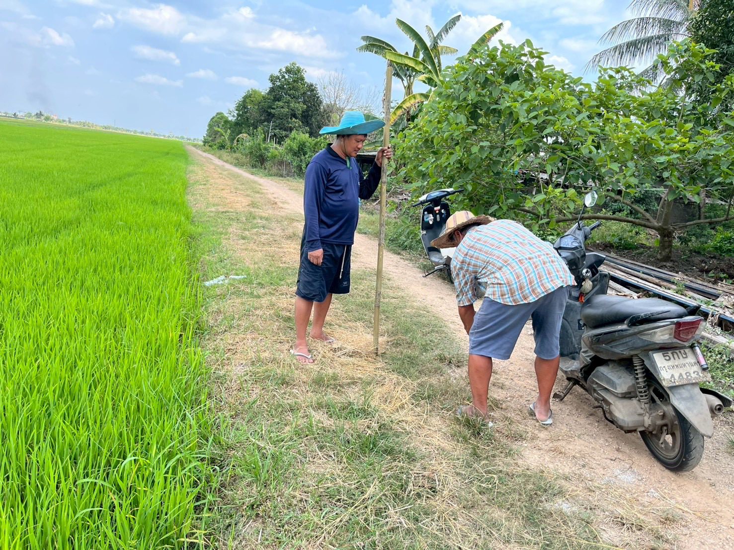 title - นายจักรพงศ์ วรเสฏฐ์ฐากูร ตำแหน่งนายช่างสำรวจอาวุโส พร้อมผู้ช่วยนายช่างสำรวจ ดำเนินการระวังชี้แนวเขตที่ดิน ร่วมกับเจ้าของแปลง และช่างรังวัดสำนักงานที่ดินจังหวัดปทุมธานี 