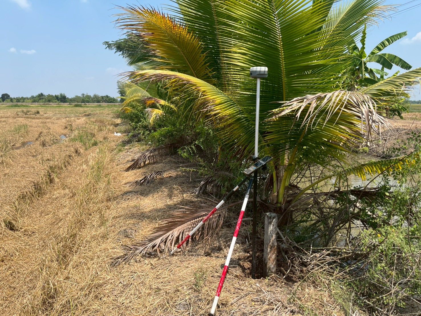 title - นายจักรพงศ์ วรเสฏฐ์ฐากูร นายช่างสำรวจอาวุโส และผู้ช่วยนายช่างสำรวจ ร่วมกับช่างรังวัด สำนักงานที่ดินจังหวัดปทุมธานี สาขาธัญบุรี และเจ้าของแปลงที่ดิน ระวังชี้แนวเขตที่ดินติดกับแนวเขตปฏิรูปที่ดิน ที่ดินตั้งอยู่ตำบลบึงบา อำเภอหนองเสือ จังหวัดปทุมธานี 