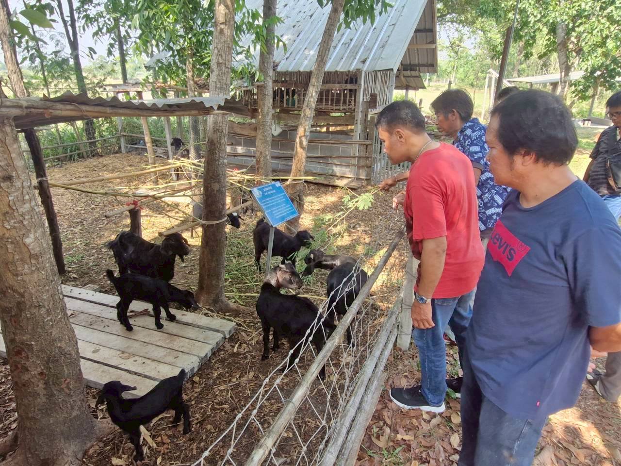 title - จัดฝึกอบรมโครงการพัฒนาเกษตรกรปราดเปรื่องในเขตปฏิรูปที่ดินจังหวัดปทุมธานี (Smart Farmer) ปีงบประมาณ พ.ศ. 2569 