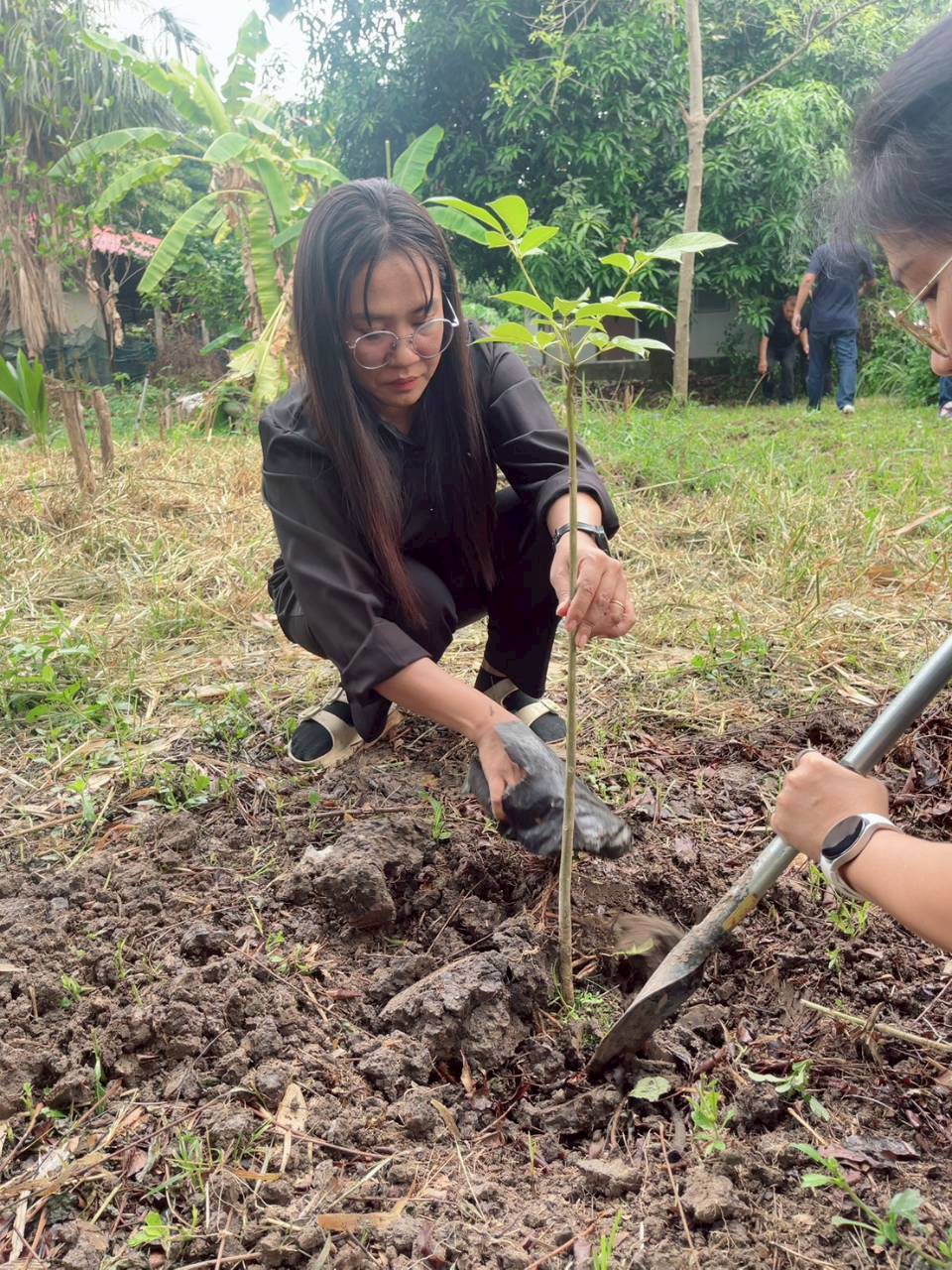 title - วันที่ 29 พฤษภาคม 2569  นางสาวฐิติมา วัฒนจัง ปฏิรูปที่ดินจังหวัดปทุมธานี และเจ้าหน้าที่ ส.ป.ก.ปทุมธานี จัดกิจกรรม 