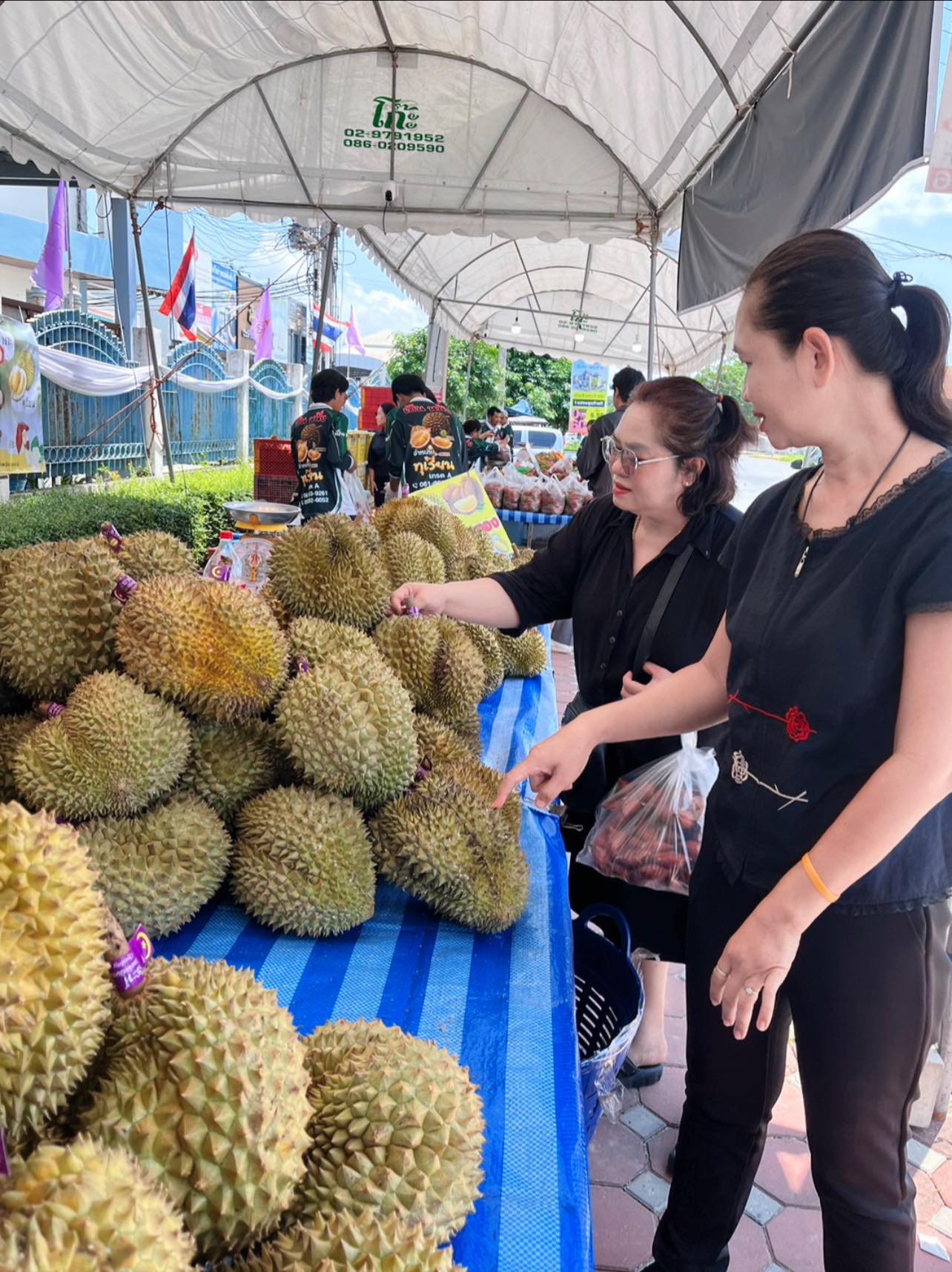 title - กิจกรรมรณรงค์บริโภคผลไม้ภาคตะวันออก  ของสำนักงานพาณิชย์จังหวัดปทุมธานี ตลอดทั้งเดือนมิถุนายน 2569  ที่หน้า สำนักงานพาณิชย์จังหวัดปทุมธานี  มีผลไม้  มากกว่า  9 ชนิด  อาทิเช่น ทุเรียน ลองกอง เงาะ  สละสุมาลี   มะไฟ  มังคุด  เรียนเชิญทุกท่านมาอุดหนุนกันเยอะ ๆ นะคร้าาาาา