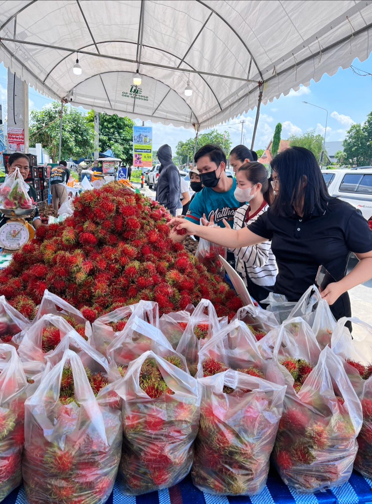 title - กิจกรรมรณรงค์บริโภคผลไม้ภาคตะวันออก  ของสำนักงานพาณิชย์จังหวัดปทุมธานี ตลอดทั้งเดือนมิถุนายน 2569  ที่หน้า สำนักงานพาณิชย์จังหวัดปทุมธานี  มีผลไม้  มากกว่า  9 ชนิด  อาทิเช่น ทุเรียน ลองกอง เงาะ  สละสุมาลี   มะไฟ  มังคุด  เรียนเชิญทุกท่านมาอุดหนุนกันเยอะ ๆ นะคร้าาาาา