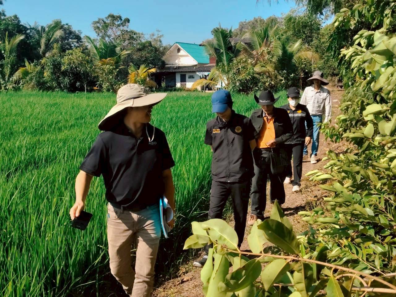 title - นางสาวฐิติมา วัฒนจัง ปฏิรูปที่จังหวัดปทุมธานี พร้อมด้วย นายจักรพงศ์ วรเสฏฐ์ฐากูร นายช่างสำรวจอาวุโส นางกรรณิการ์ พิชยเมธพนธ์ รษก.ผู้อำนวยการกลุ่มกฎหมาย  ลงตรวจแปลง นางสงวน สงานพงศ์เพื่อหาแนวทางยุติปัญหามรดกสิทธิ ต.บึงชำอ้อ อ.หนองเสือ จ.ปทุมธานี