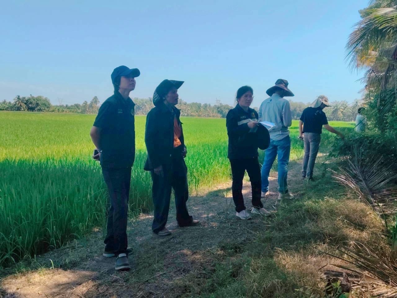 title - นางสาวฐิติมา วัฒนจัง ปฏิรูปที่จังหวัดปทุมธานี พร้อมด้วย นายจักรพงศ์ วรเสฏฐ์ฐากูร นายช่างสำรวจอาวุโส นางกรรณิการ์ พิชยเมธพนธ์ รษก.ผู้อำนวยการกลุ่มกฎหมาย  ลงตรวจแปลง นางสงวน สงานพงศ์เพื่อหาแนวทางยุติปัญหามรดกสิทธิ ต.บึงชำอ้อ อ.หนองเสือ จ.ปทุมธานี