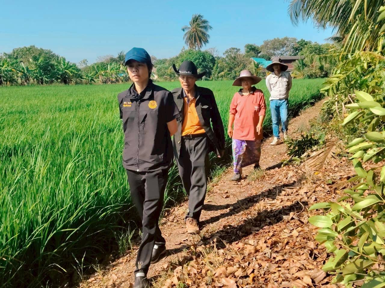 นางสาวฐิติมา วัฒนจัง ปฏิรูปที่จังหวัดปทุมธานี พร้อมด้วย นายจักรพงศ์ วรเสฏฐ์ฐากูร นายช่างสำรวจอาวุโส นางกรรณิการ์ พิชยเมธพนธ์ รษก.ผู้อำนวยการกลุ่มกฎหมาย  ลงตรวจแปลง นางสงวน สงานพงศ์เพื่อหาแนวทางยุติปัญหามรดกสิทธิ ต.บึงชำอ้อ อ.หนองเสือ จ.ปทุมธานี