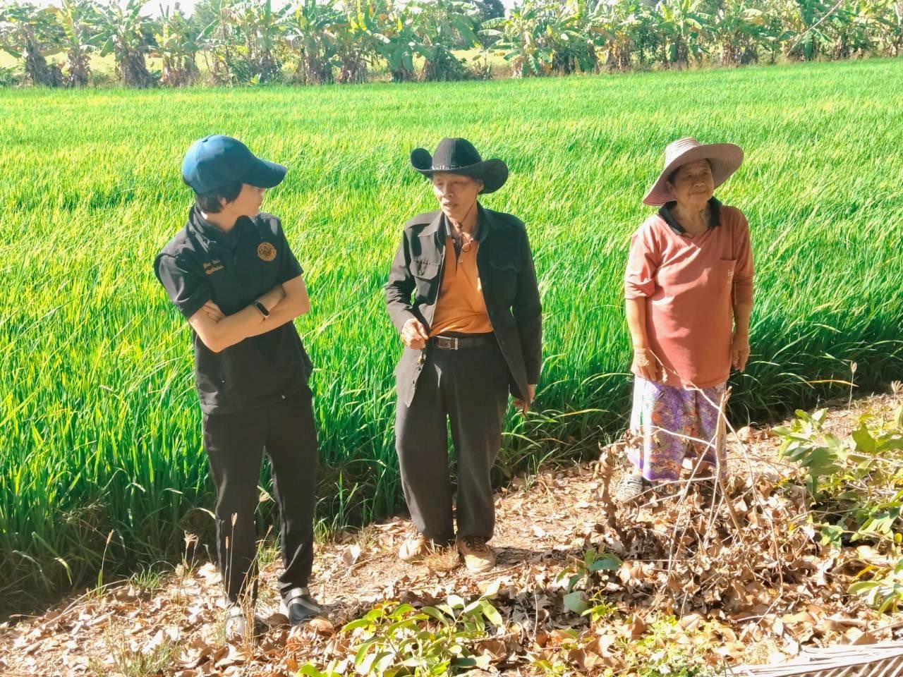 title - นางสาวฐิติมา วัฒนจัง ปฏิรูปที่จังหวัดปทุมธานี พร้อมด้วย นายจักรพงศ์ วรเสฏฐ์ฐากูร นายช่างสำรวจอาวุโส นางกรรณิการ์ พิชยเมธพนธ์ รษก.ผู้อำนวยการกลุ่มกฎหมาย  ลงตรวจแปลง นางสงวน สงานพงศ์เพื่อหาแนวทางยุติปัญหามรดกสิทธิ ต.บึงชำอ้อ อ.หนองเสือ จ.ปทุมธานี