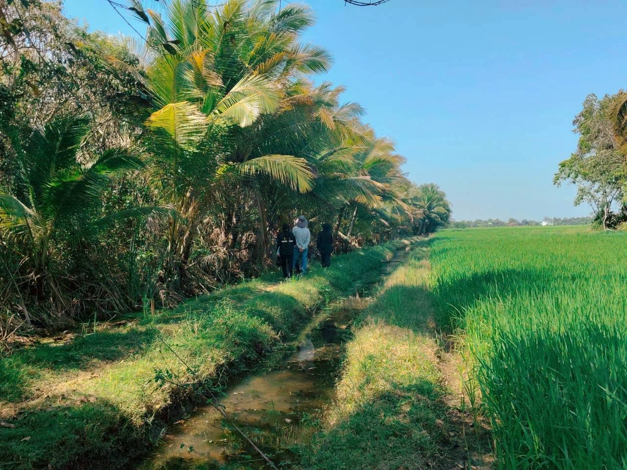 title - นางสาวฐิติมา วัฒนจัง ปฏิรูปที่จังหวัดปทุมธานี พร้อมด้วย นายจักรพงศ์ วรเสฏฐ์ฐากูร นายช่างสำรวจอาวุโส นางกรรณิการ์ พิชยเมธพนธ์ รษก.ผู้อำนวยการกลุ่มกฎหมาย  ลงตรวจแปลง นางสงวน สงานพงศ์เพื่อหาแนวทางยุติปัญหามรดกสิทธิ ต.บึงชำอ้อ อ.หนองเสือ จ.ปทุมธานี