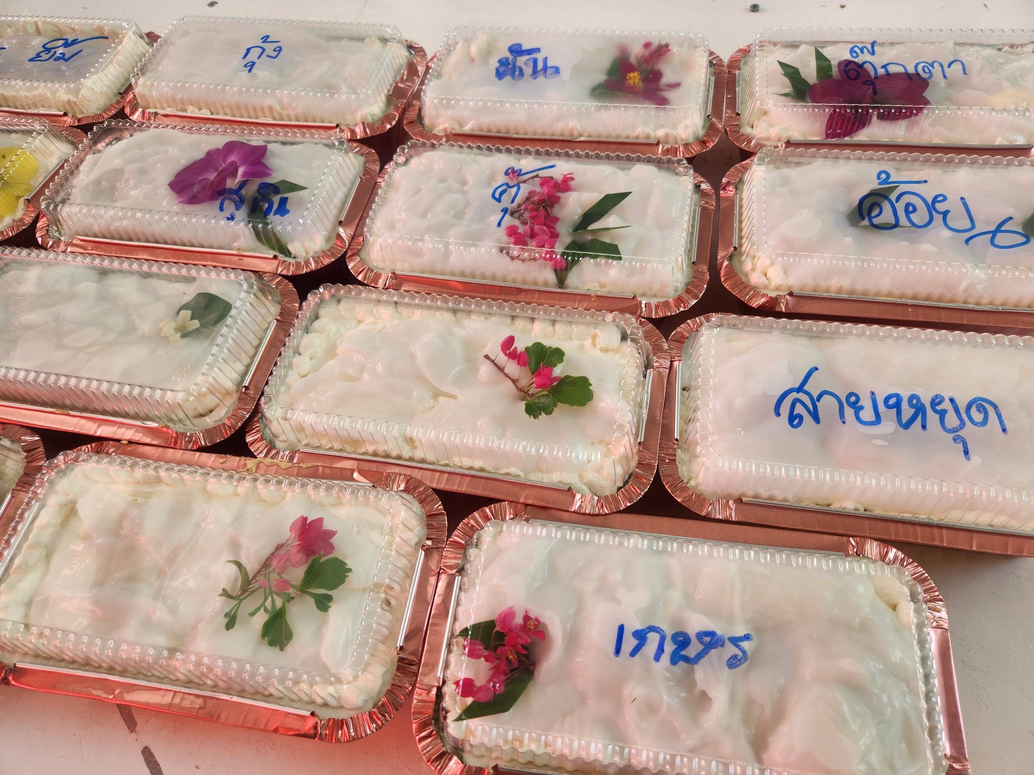 title - จัดฝึกอบรมโครงการพัฒนาธุรกิจชุมชนในเขตปฏิรูปที่ดินจังหวัดปทุมธานี ประจำปีงบประมาณ พ.ศ 2569 