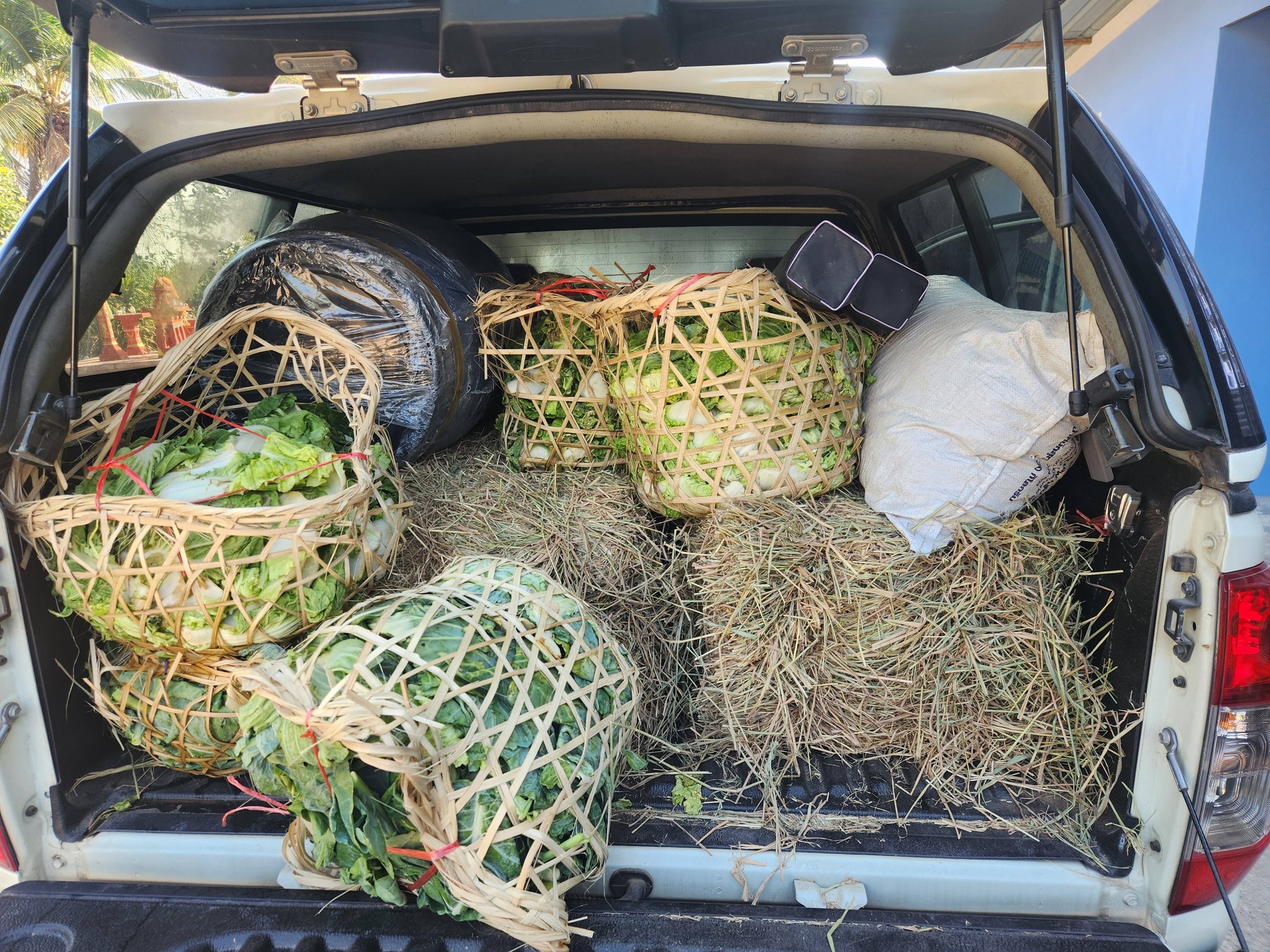 title -  จัดฝึกอบรมโครงการลดการเผาวัสดุเหลือใช้ทางการเกษตรในเขตปฏิรูปที่ดินจังหวัดปทุมธานี ประจำปีงบประมาณ พ.ศ 2569 หลักสูตร “แนวทางการลดการเผาไหม้ในเขตปฏิรูปที่ดิน