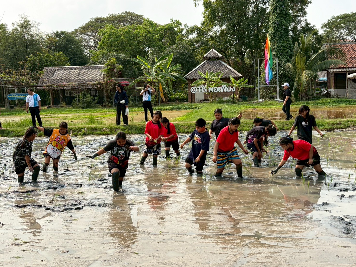 title - จัดฝึกอบรมโครงการที่ดินพระราชทานในเขตปฏิรูปที่ดินจังหวัดปทุมธานี ประจำปีงบประมาณ พ.ศ 2569 
