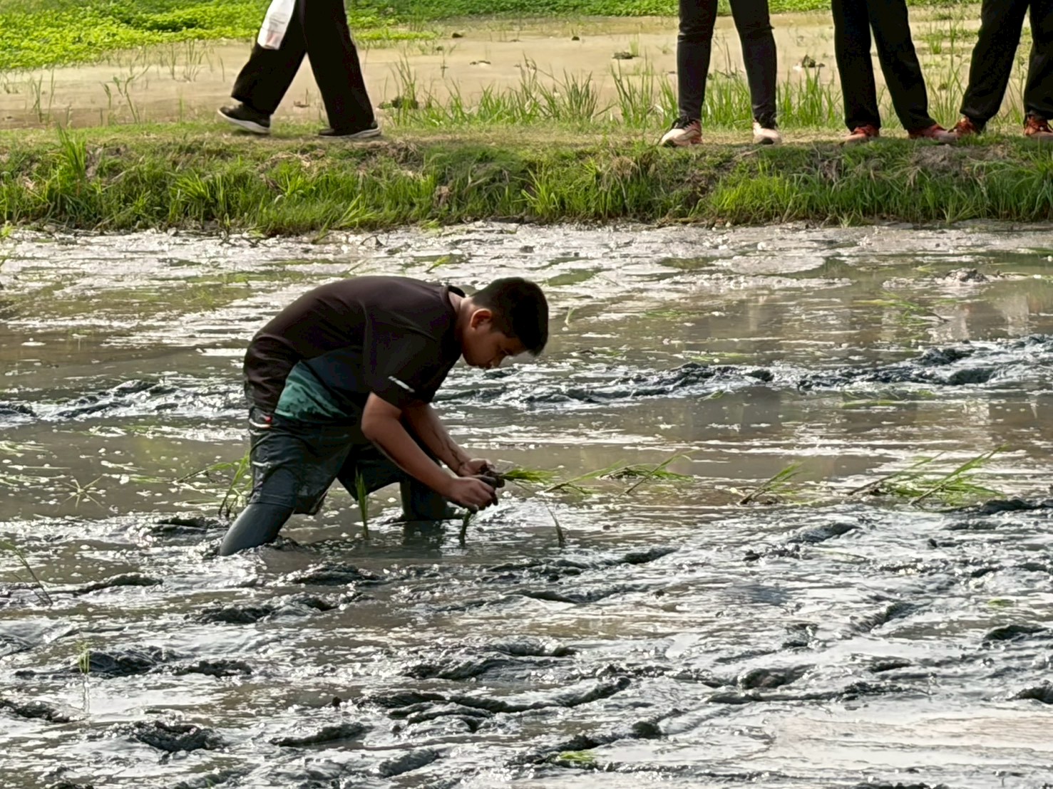 title - จัดฝึกอบรมโครงการที่ดินพระราชทานในเขตปฏิรูปที่ดินจังหวัดปทุมธานี ประจำปีงบประมาณ พ.ศ 2569 