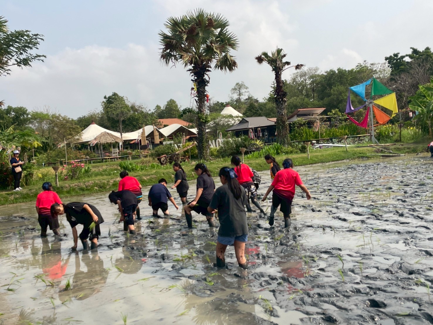 title - จัดฝึกอบรมโครงการที่ดินพระราชทานในเขตปฏิรูปที่ดินจังหวัดปทุมธานี ประจำปีงบประมาณ พ.ศ 2569 