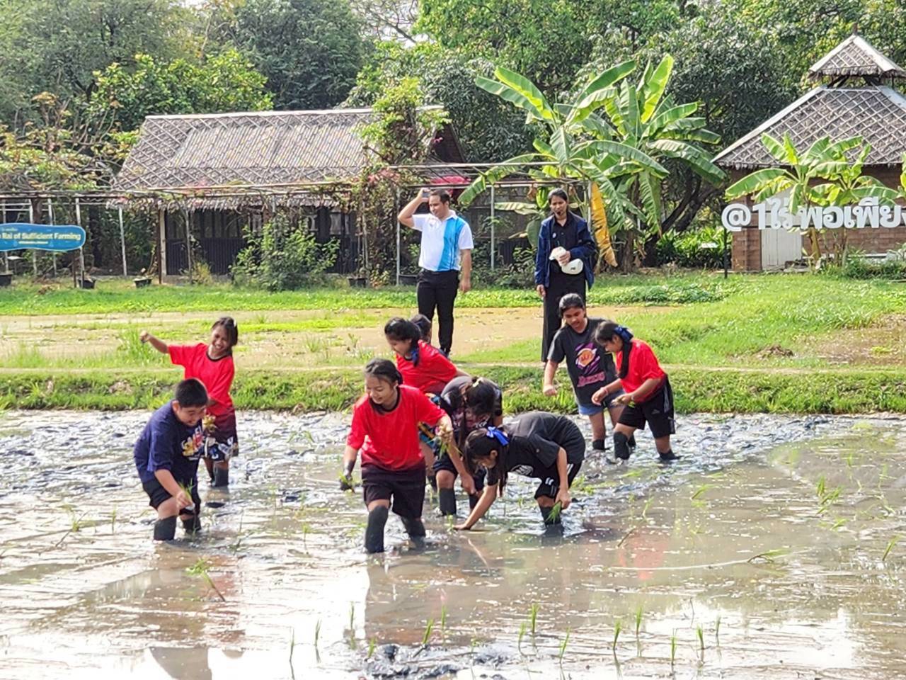 title - จัดฝึกอบรมโครงการที่ดินพระราชทานในเขตปฏิรูปที่ดินจังหวัดปทุมธานี ประจำปีงบประมาณ พ.ศ 2569 