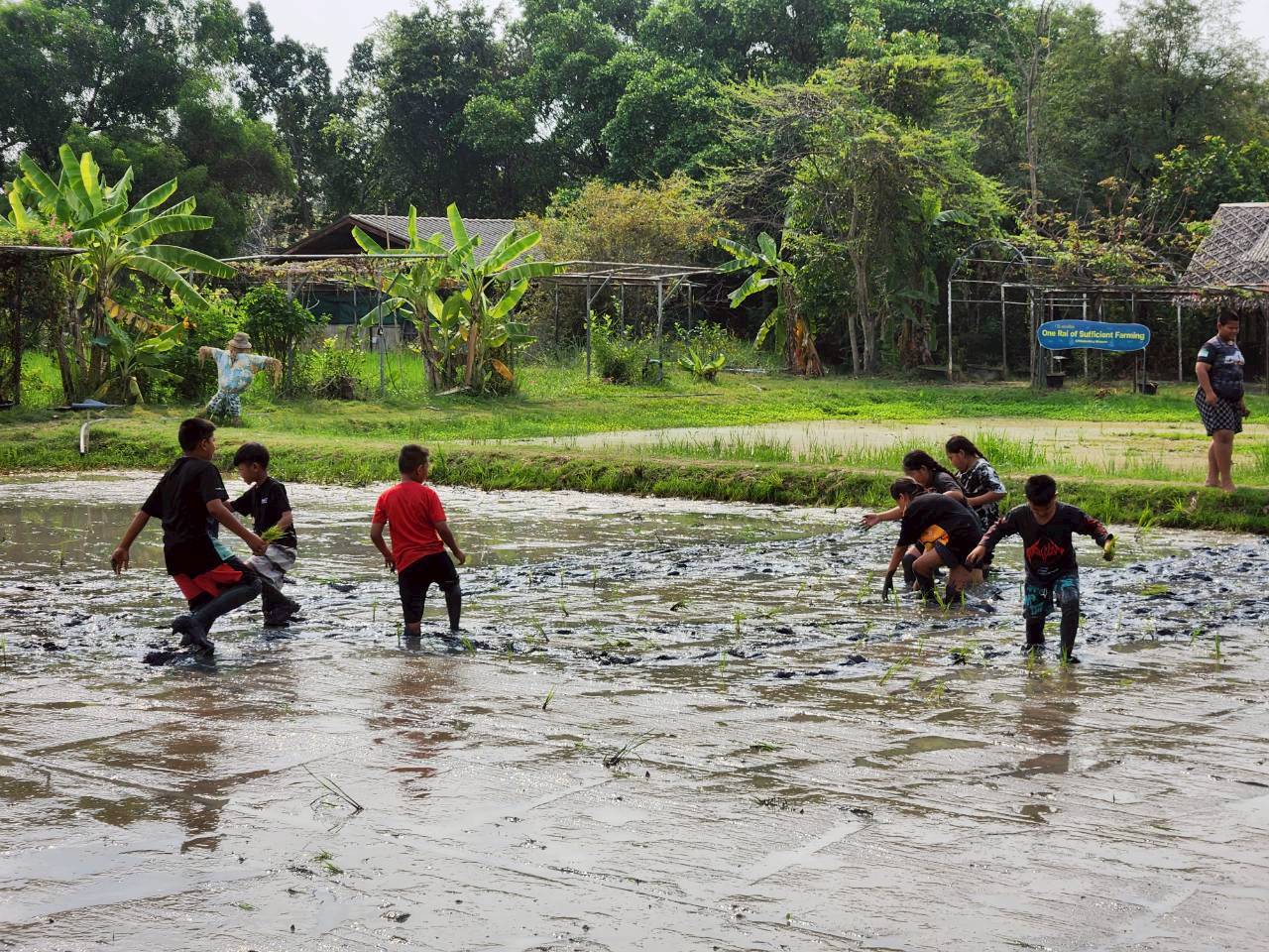 title - จัดฝึกอบรมโครงการที่ดินพระราชทานในเขตปฏิรูปที่ดินจังหวัดปทุมธานี ประจำปีงบประมาณ พ.ศ 2569 
