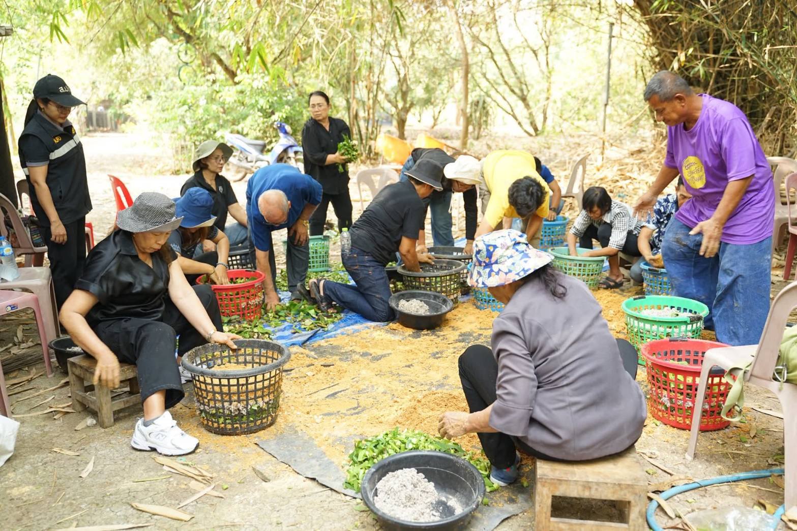 title - ดฝึกอบรมโครงการพัฒนาเกษตรกรรมยั่งยืนในเขตปฏิรูปที่ดินจังหวัดปทุมธานีปีงบประมาณ พ.ศ. 2569 