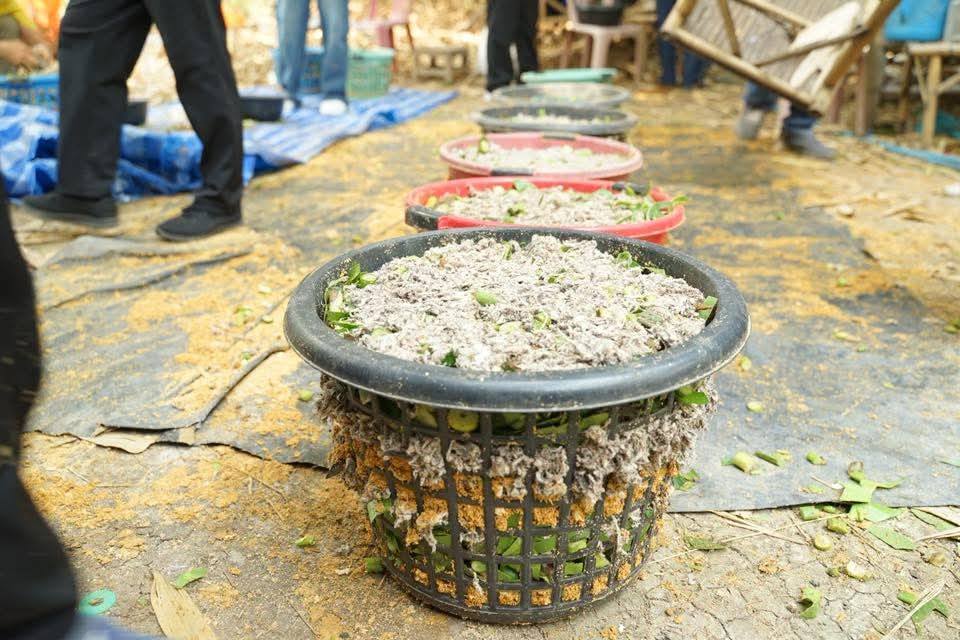 title - ดฝึกอบรมโครงการพัฒนาเกษตรกรรมยั่งยืนในเขตปฏิรูปที่ดินจังหวัดปทุมธานีปีงบประมาณ พ.ศ. 2569 