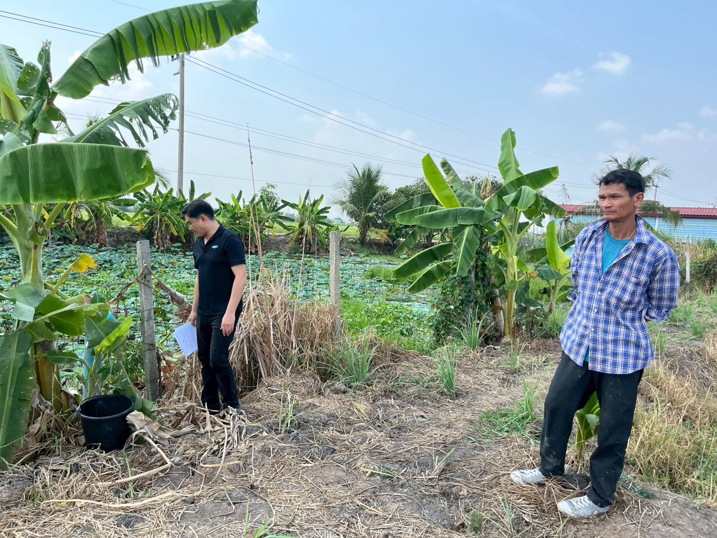 title - นายจักรพงศ์ วรเสฏฐ์ฐากูร นายช่างสำรวจอาวุโส และผู้ช่วยนายช่างสำรวจ ดำเนินการระวังชี้แนวเขตที่ดิน ร่วมกับช่างรังวัดสำนักงานที่ดินจังหวัดปทุมธานี สาขาคลองหลวง  ที่ดินตั้งอยู่ตำบลคลองห้า อำเภอคลองหลวง จังหวัดปทุมธานี