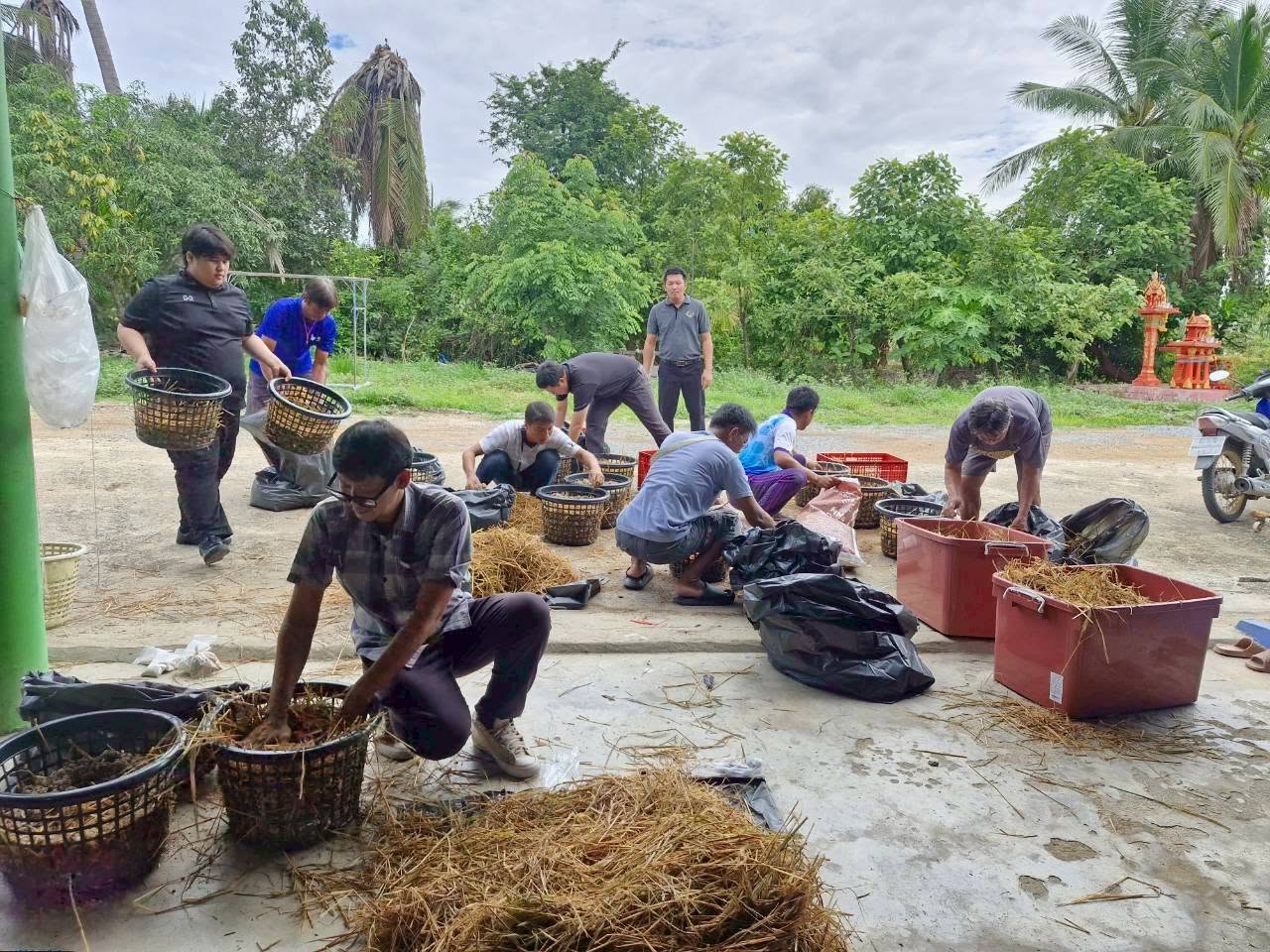 title - จัดโครงการลดการเผาวัสดุ เหลือใช้ทางการเกษตรในเขตปฏิรูปที่ดินจังหวัดปทุมธานี ปีงบประมาณ พ.ศ. 2569 หลักสูตร การสร้างอาชีพในการบริหารจัดการวัสดุเหลือใช้ทางการเกษตรเพื่อเพิ่มมูลค่าเป็นมิตรกับสิ่งแวดล้อม ณ บ้านเลขที่ 21 หมู่ 10 ตำบลบึงชำอ้อ อำเภอหนองเสือ จังหวัดปทุมธานี 