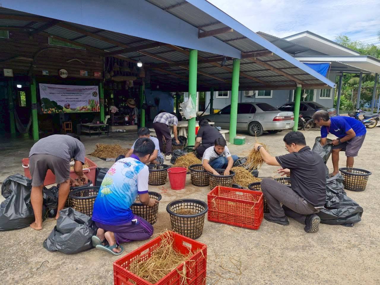 title - จัดโครงการลดการเผาวัสดุ เหลือใช้ทางการเกษตรในเขตปฏิรูปที่ดินจังหวัดปทุมธานี ปีงบประมาณ พ.ศ. 2569 หลักสูตร การสร้างอาชีพในการบริหารจัดการวัสดุเหลือใช้ทางการเกษตรเพื่อเพิ่มมูลค่าเป็นมิตรกับสิ่งแวดล้อม ณ บ้านเลขที่ 21 หมู่ 10 ตำบลบึงชำอ้อ อำเภอหนองเสือ จังหวัดปทุมธานี 