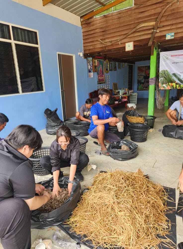 title - จัดโครงการลดการเผาวัสดุ เหลือใช้ทางการเกษตรในเขตปฏิรูปที่ดินจังหวัดปทุมธานี ปีงบประมาณ พ.ศ. 2569 หลักสูตร การสร้างอาชีพในการบริหารจัดการวัสดุเหลือใช้ทางการเกษตรเพื่อเพิ่มมูลค่าเป็นมิตรกับสิ่งแวดล้อม ณ บ้านเลขที่ 21 หมู่ 10 ตำบลบึงชำอ้อ อำเภอหนองเสือ จังหวัดปทุมธานี 