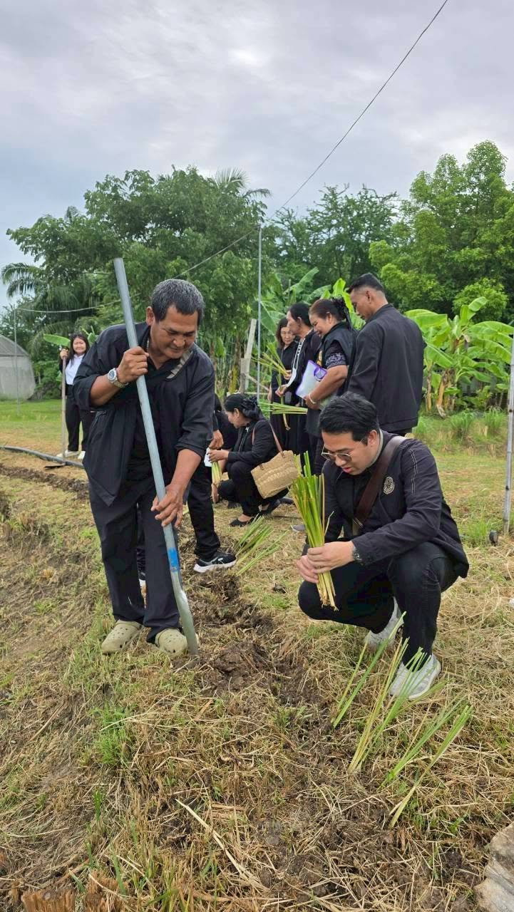 title - เข้าร่วมฝึกอบรมเชิงปฏิบัติการ หลักสูตร “รู้ปลูก รู้รักษา รู้คุณค่าของหญ้าแฝก” ระยะที่ 2 ภายใต้โครงการพัฒนาและรณรงค์การใช้หญ้าแฝกอันเนื่องมาจากพระราชดำริ ประจำปีงบประมาณ พ.ศ. 2569  ณ ห้องประชุม หม่อมราชวงศ์หญิง รสลิน คัคณางค์ ศูนย์ส่งเสริมและพัฒนาอาชีพเสริมนอกภาคการเกษตร 