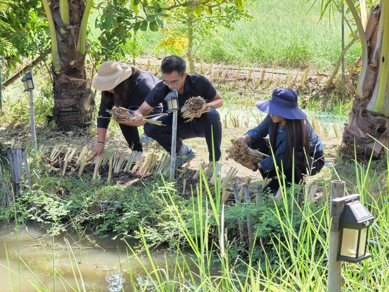 title - กลุ่มยุทธศาสตร์และการปฏิรูปที่ดิน จัดโครงการพัฒนาและรณรงค์การใช้หญ้าแฝกอันเนื่องมาจากพระราชดำริ ในเขตปฏิรูปที่ดินจังหวัดปทุมธานี ปีงบประมาณ 2569 ณ ศูนย์รณรงค์หยุดเผาในเขตปฏิรูปที่ดิน เลขที่ 37/7 หมู่ 9 ตำบลบึงกาสาม อำเภอหนองเสือ จังหวัดปทุมธานี 