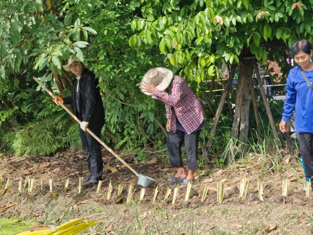 title - กลุ่มยุทธศาสตร์และการปฏิรูปที่ดิน จัดโครงการพัฒนาและรณรงค์การใช้หญ้าแฝกอันเนื่องมาจากพระราชดำริ ในเขตปฏิรูปที่ดินจังหวัดปทุมธานี ปีงบประมาณ 2569 ณ ศูนย์รณรงค์หยุดเผาในเขตปฏิรูปที่ดิน เลขที่ 37/7 หมู่ 9 ตำบลบึงกาสาม อำเภอหนองเสือ จังหวัดปทุมธานี 