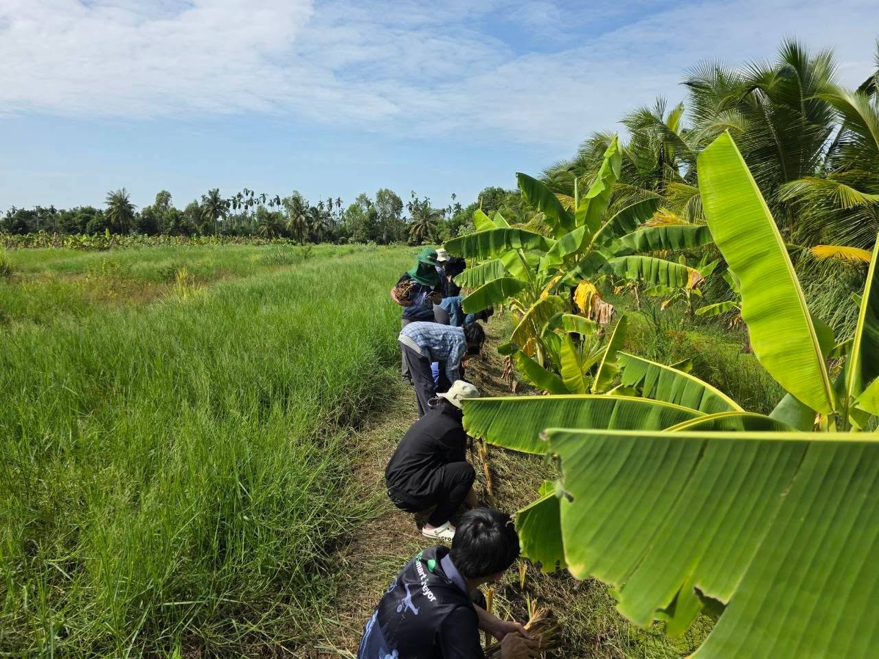 title - กลุ่มยุทธศาสตร์และการปฏิรูปที่ดิน จัดโครงการพัฒนาและรณรงค์การใช้หญ้าแฝกอันเนื่องมาจากพระราชดำริ ในเขตปฏิรูปที่ดินจังหวัดปทุมธานี ปีงบประมาณ 2569 ณ ศูนย์รณรงค์หยุดเผาในเขตปฏิรูปที่ดิน เลขที่ 37/7 หมู่ 9 ตำบลบึงกาสาม อำเภอหนองเสือ จังหวัดปทุมธานี 