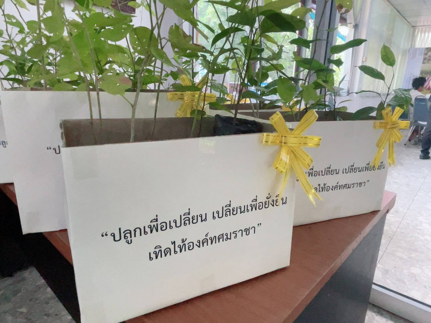 title - จัดโครงการ “ปลูกเพื่อเปลี่ยน เปลี่ยนเพื่อยั่งยืน เทิดไท้องค์ทศมราชา” เพื่อเพิ่มพื้นที่สีเขียวในเขตปฏิรูปที่ดิน