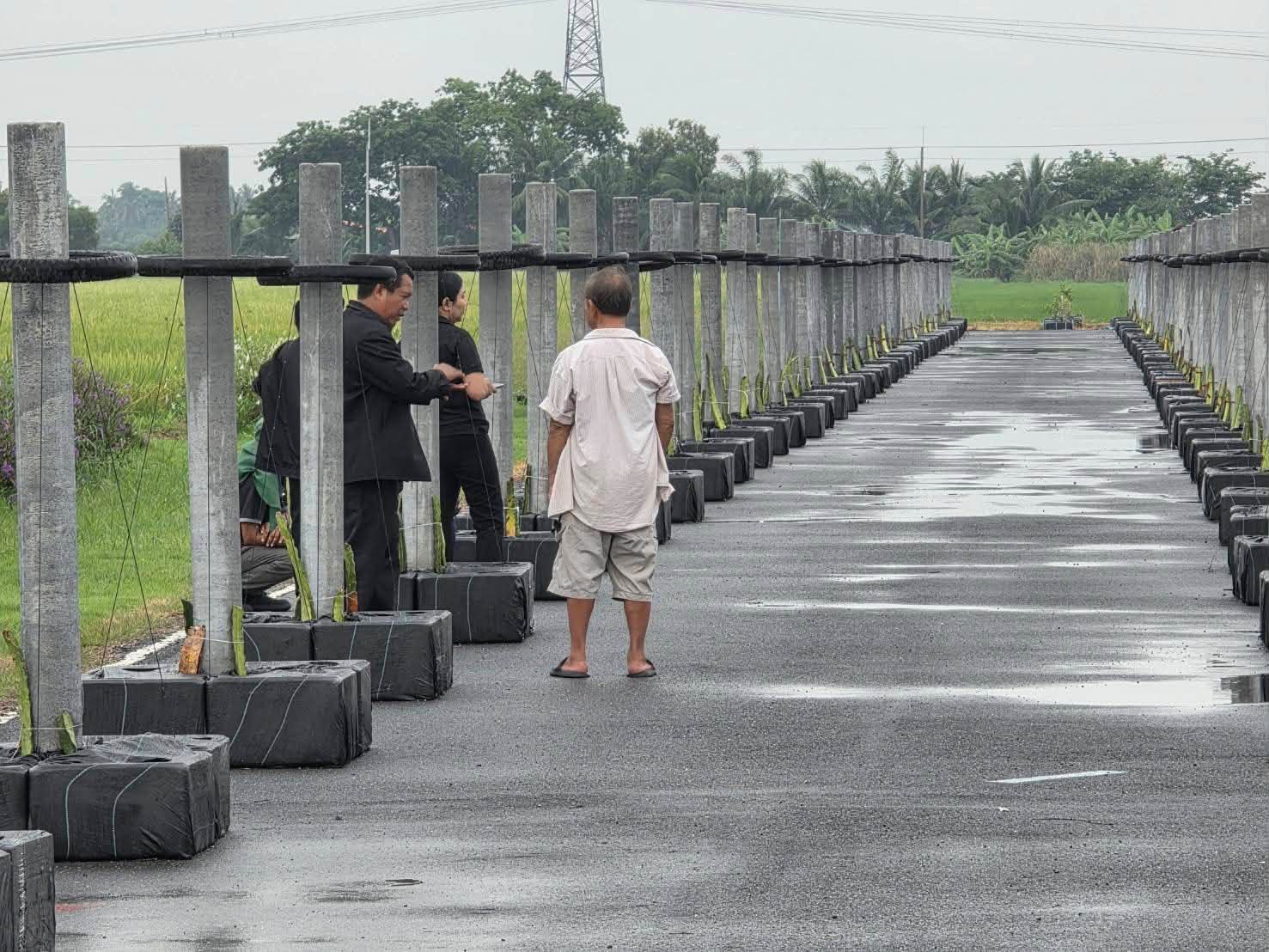 title - ลงพื้นที่ตรวจสอบตามหนังสือร้องเรียน