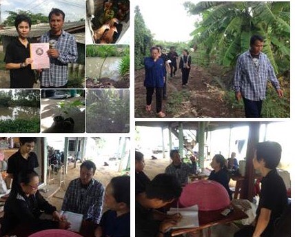 ส.ป.ก.ปทุมธานี ลงพื้นที่ติดตาม ตรวจเยี่ยม และให้คำแนะนำ พบปะ 3 ประสาน เกษตรกรกลุ่มพร้อมปานกลาง โครงการ 5 ประสาน สืบสานเกษตรทฤษฎีใหม่ ถวายในหลวง