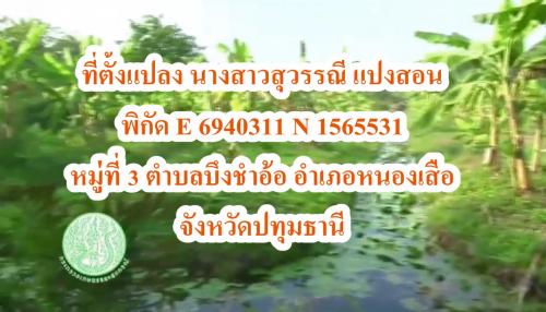 กลุ่มยุทธศาสตร์ฯ ส.ป.ก.ปทุมธานี จัดทำสื่อวีดีทัศน์เพื่อประชาสัมพันธ์แปลงเด่น นางสาวสุวรรณี แปงสอน อ. หนองเสือ จ.ปทุมธานี 