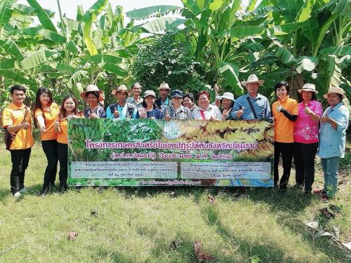 สำนักงานการปฏิรูปที่ดินจังหวัดปทุมธานี (ส.ปก.ปทุมธานี) จัดอบรมเชิงปฏิบัติการโครงการเกษตรอินทรีย์ในเขตปฏิรูปที่ดินจังหวัดปทุมธานี ปีงบประมาณ 2562 ณ กลุ่มวิสาหกิจชุมชนเกษตรอินทรีย์ทุ่งทองยั่งยืน ตำบลจระเข้สามพัน อำเภออู่ทอง จังหวัดสุพรรณบุรี