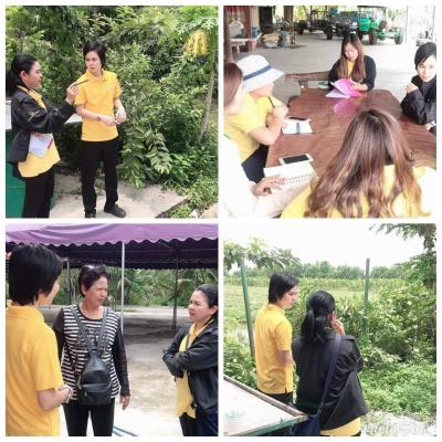 วันที่ 14 พฤษภาคม 2562 สำนักงานการปฏิรูปที่ดินจังหวัดปทุมธานี ( ส.ป.ก.ปทุมธานี ) เตรียมยกระดับ   การผลิต ข้าว และ กล้วยหอมทอง แปลงใหญ่ให้ได้มาตรฐาน GAP (Good Agricultural Practice ) 