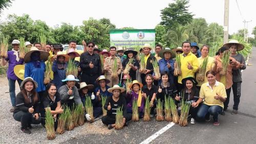 นางสาวพจนันท์ กองมาก ปฏิรูปที่ดินจังหวัดปทุมธานี พร้อมด้วยเจ้าหน้าที่กลุ่มยุทธศาสตร์ฯ ร่วมกับสถานีพัฒนาที่ดินจังหวัดปทุมธานี อบต.บึงกาสาม กำนัน/ผู้ใหญ่บ้าน ทั้ง 9 หมู่ และเกษตรกร  ต.บึงกาสาม อ.หนองเสือ จ.ปทุมธานี รวมกันปลูกแฝก จำนวน 20,000 กล้า