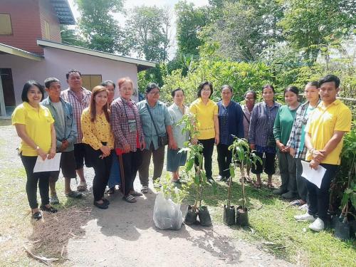 นางสาวพจนันท์ กองมาก ปฏิรูปที่ดินจังหวัดปทุมธานี ส.ป.ก.ปทุมธานี มอบหมายกลุ่มยุทธศาสตร์ฯ มอบกิ่งพันธุ์มะม่วงและต้นหม่อนให้แก่เกษตรกรในเขตปฏิรูปที่ดินที่เข้าร่วมโครงการ 5 ประสาน สืบสานเกษตรทฤษฎีใหม่ถวายในหลวง ปีงบประมาณ 2562  จำนวน 75 ราย