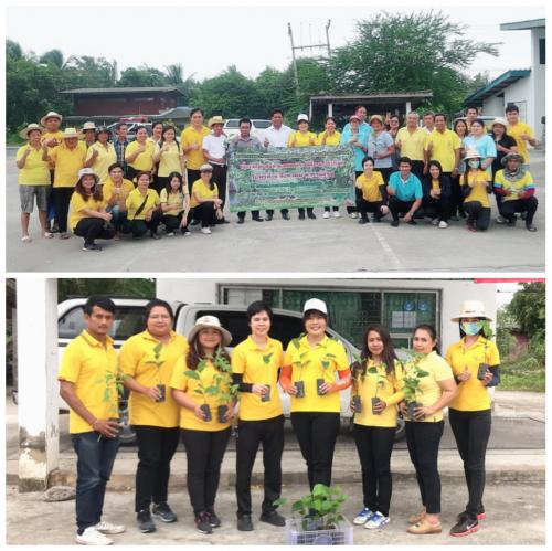 ส.ป.ก.ปทุมธานี จัดกิจกรรมปลูกต้นไม้เฉลิมพระเกียรติ เนื่องในโอกาสมหามงคลพระราชพิธีบรมราชาภิเษก จำนวน 50 ต้น ณ สหกรณ์การเกษตรปฎิรูปที่ดินหนองเสือ จำกัด