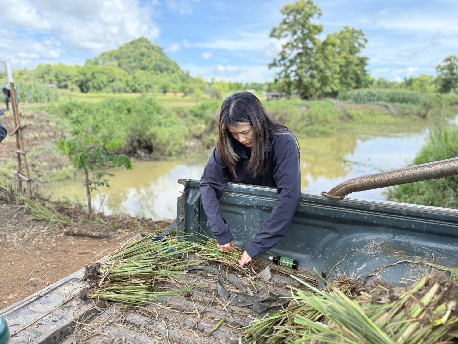 title - วันที่ 23 กรกฎาคม 2569 กลุ่มยุทธศาสตร์และการปฏิรูปที่ดิน ส.ป.ก.พะเยา ไปปฏิบัติราชการเพื่อ ดำเนินกิจกรรมปลูกหญ้าแฝก เพื่อการอนุรักษ์ดินและน้ำ ณ สระน้ำสาธารณะประโยชน์แปลงที่ดิน ในเขตปฏิรูปที่ดิน ภายใต้โครงการพัฒนาและรณรงค์การใช้หญ้าแฝก อันเนื่องมาจากพระราชดำริ ปีงบประมาณ พ.ศ. 2569 ณ พื้นที่ ตำบลหนองหล่ม อำเภอดอกคำใต้ จังหวัดพะเยา