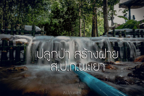 image picture