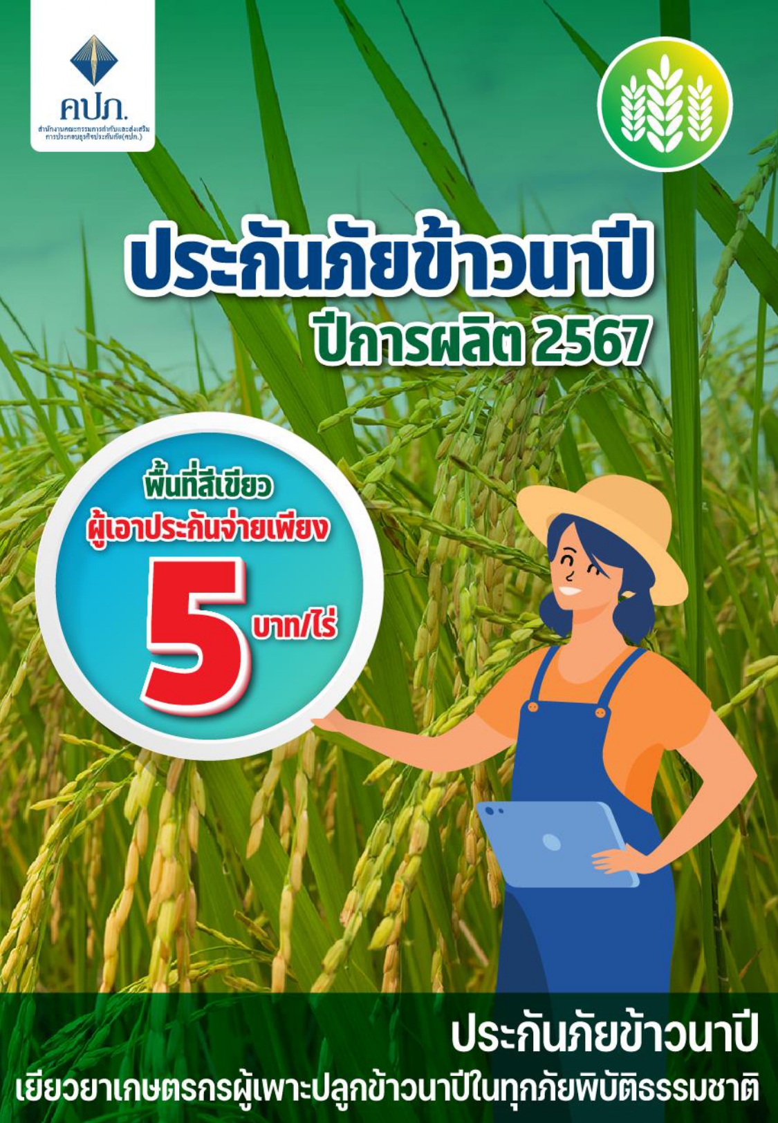 ประชาสัมพันธ์โครงการ ส่งเสริมความรู้โครงการประกันภัยข้าวนาปี ประจำปี 2567
