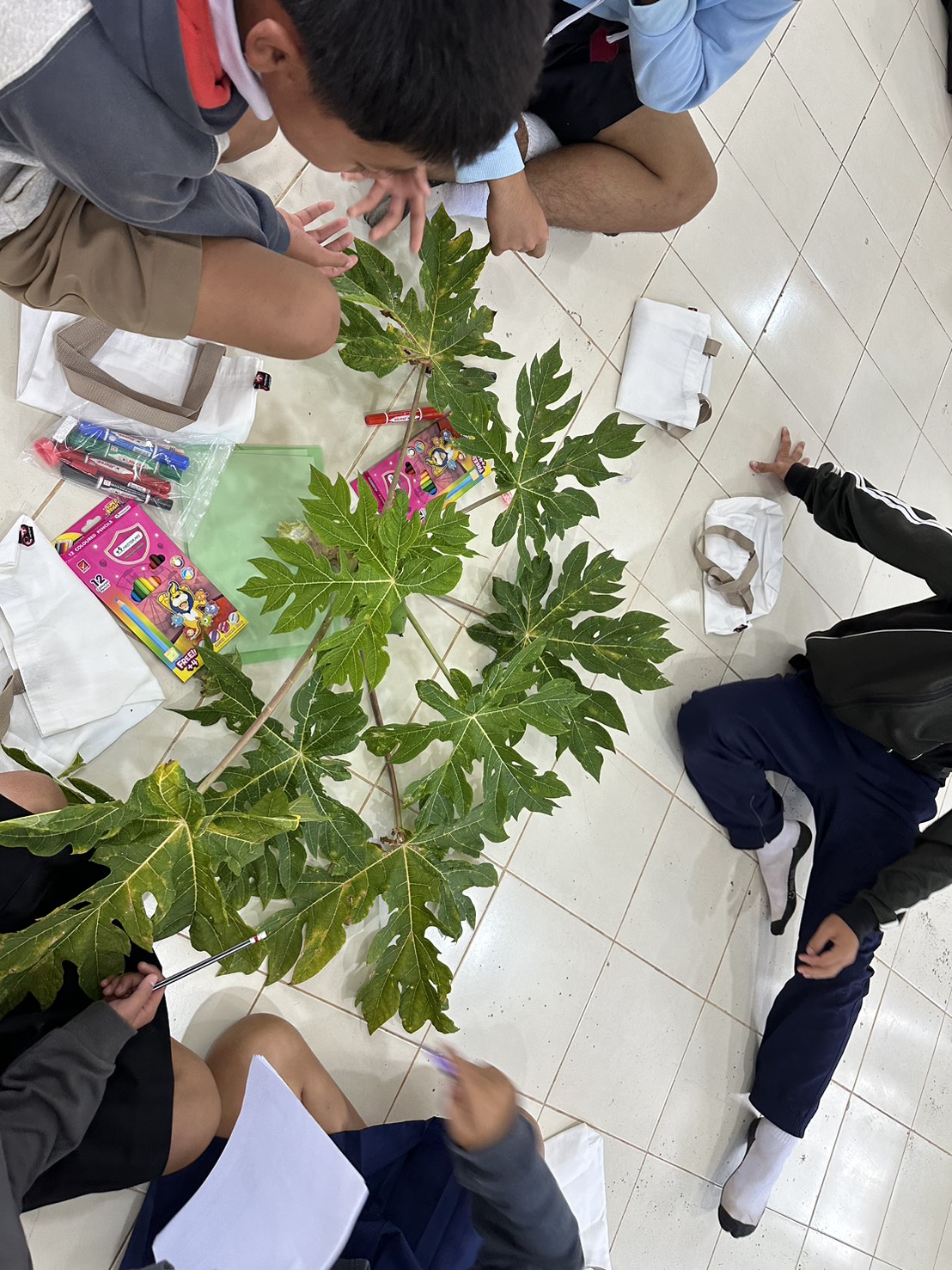 title - ดำเนินการจัด ฝึกอบรมเชิงปฏิบัติการ หลักสูตร “กระบวนการงานสวนพฤกษศาสตร์ในโรงเรียน” ภายใต้ โครงการอนุรักษ์พันธุกรรมพืชอันเนื่องมาจากพระราชดำริ สมเด็จพระเทพรัตนราชสุดาฯ สยามบรมราชกุมารี ประจำปีงบประมาณ พ.ศ. 2569