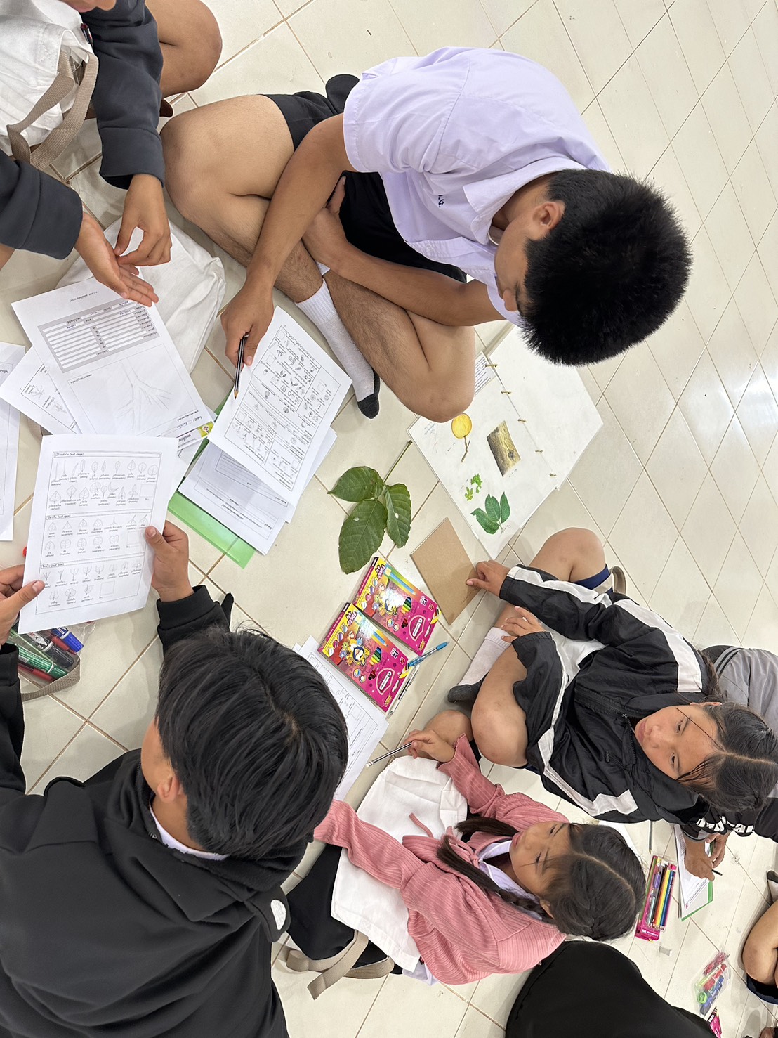 title - ดำเนินการจัด ฝึกอบรมเชิงปฏิบัติการ หลักสูตร “กระบวนการงานสวนพฤกษศาสตร์ในโรงเรียน” ภายใต้ โครงการอนุรักษ์พันธุกรรมพืชอันเนื่องมาจากพระราชดำริ สมเด็จพระเทพรัตนราชสุดาฯ สยามบรมราชกุมารี ประจำปีงบประมาณ พ.ศ. 2569