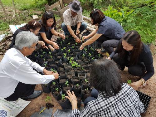 ร่วมกันปลูกดอกดาวเรือง เพื่อถวายเป็นพระราชกุศลและรำลึกในพระมหากรุณาธิคุณของพระบาทสมเด็จพระปรมินทรมหาภูมิพลอดุลยเดช เพื่อน้อมถวายเป็นพระราชกุศล แสดงออกถึงความจงรักภักดี และรำลึกในพระมหากรุณาธิคุณของพระบาทสมเด็จพระปรมินทรมหาภูมิพลอดุลยเดช