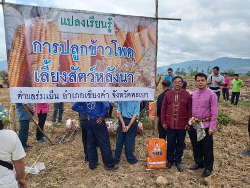โครงการสานพลังประชารัฐเพื่อสนับสนุนการปลูกข้าวโพดเลี้ยงสัตว์หลังนา