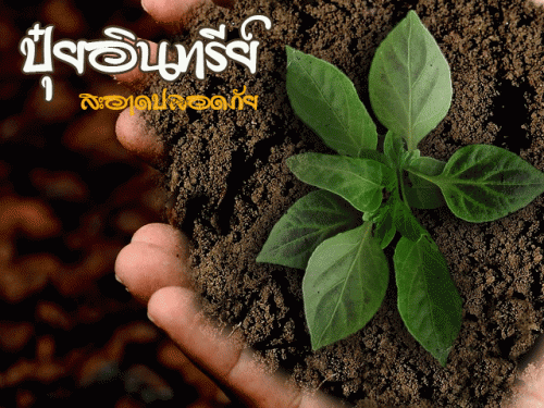 สูตรปุ๋ยหมักอินทรีย์
